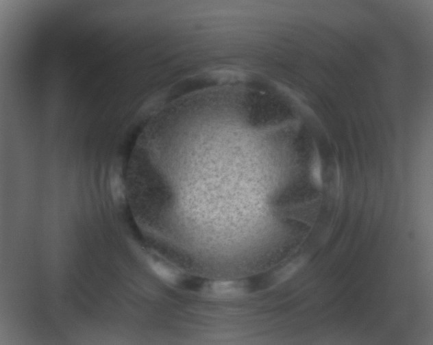 X0000082950622200702081651