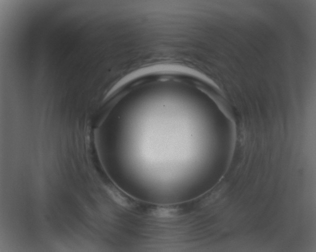 X0000082950664200702081651