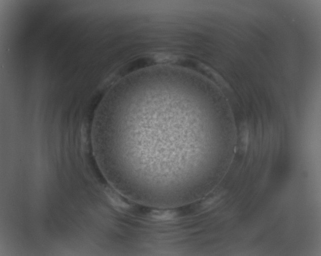 X0000082950667200702081651