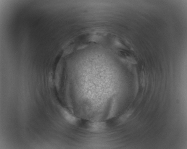 X0000082950670200702081651