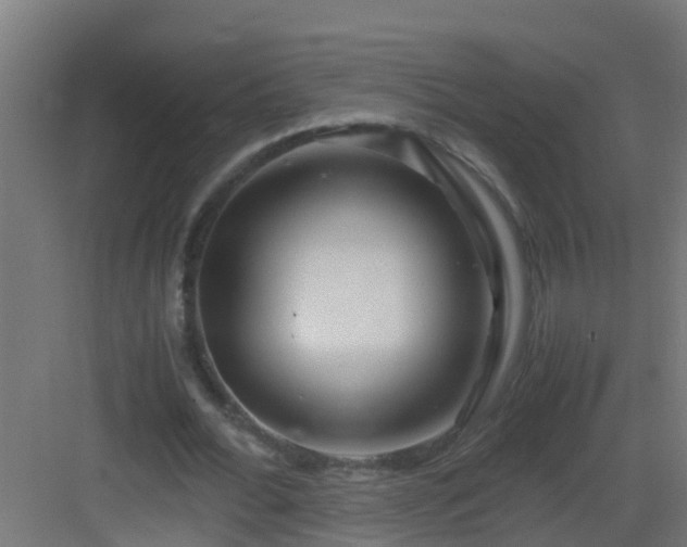 X0000082950676200702081650