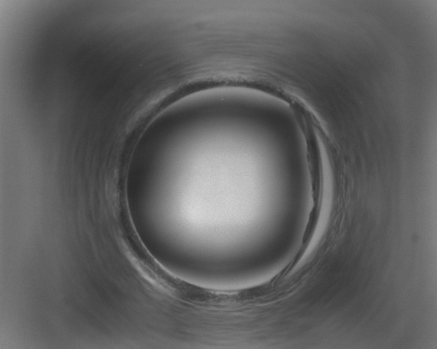 X0000082950677200702081650