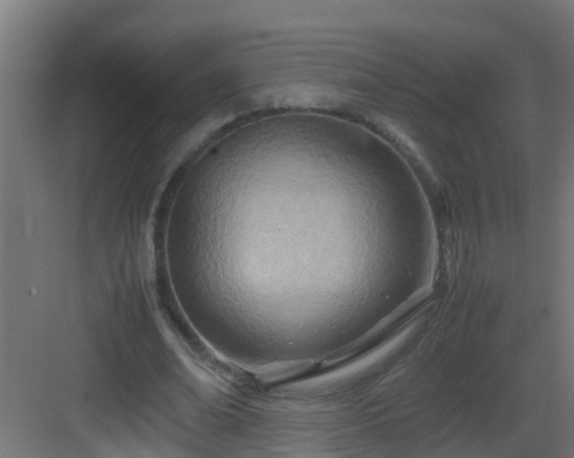 X0000082950678200702081650