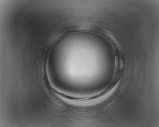 X0000082950681200702081650