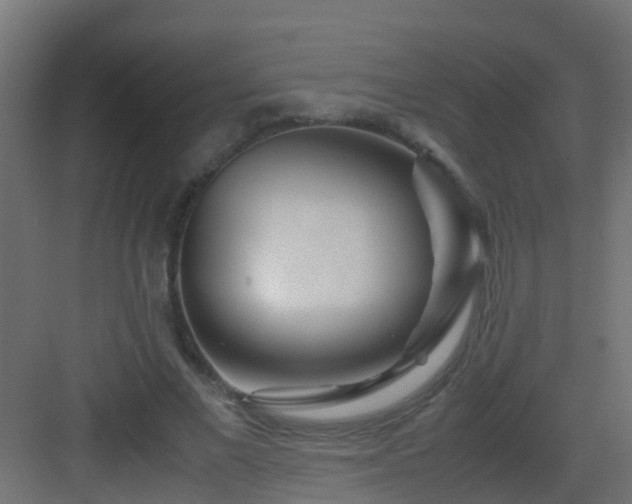 X0000082950685200702081650