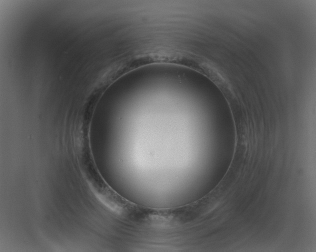 X0000082950690200702081650