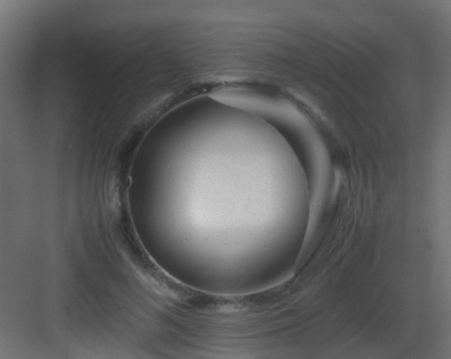 X0000082950692200702081650