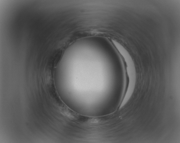 X0000082950704200702081650
