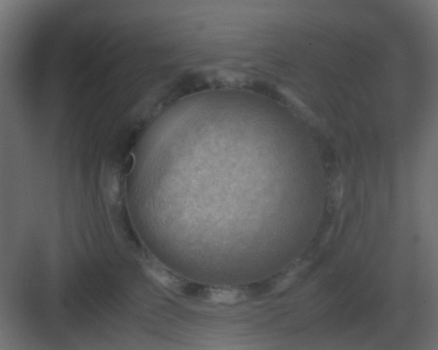 X0000082950709200702081650
