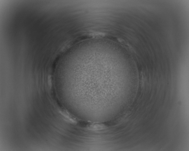 X0000082950716200702081649