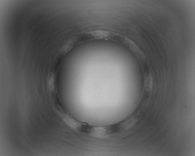 X0000082950717200702081649