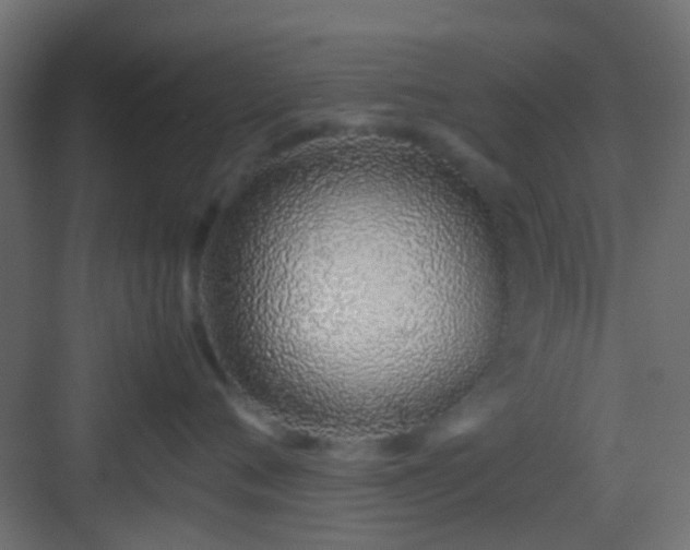 X0000082950720200702081649