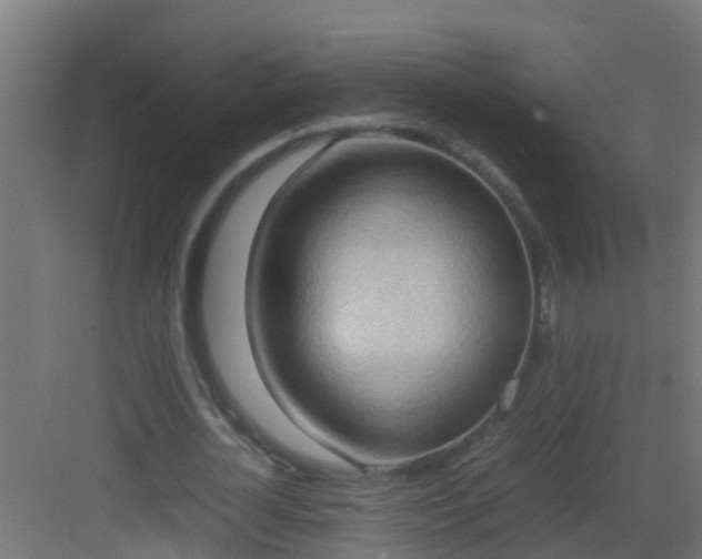 X0000082950724200702081649