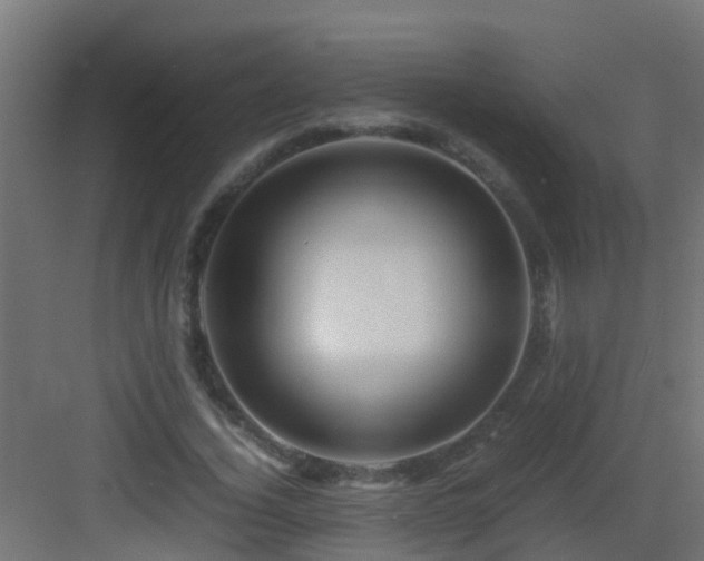 X0000082950732200702081649