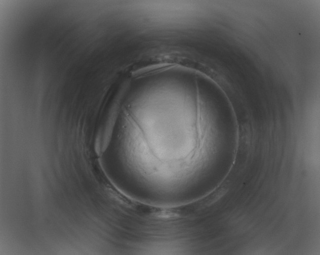 X0000082950754200702081649