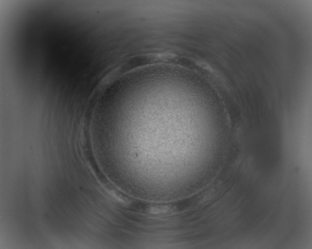 X0000082950757200702081649