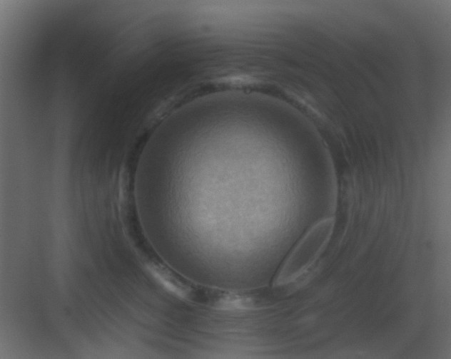X0000082950760200702081649