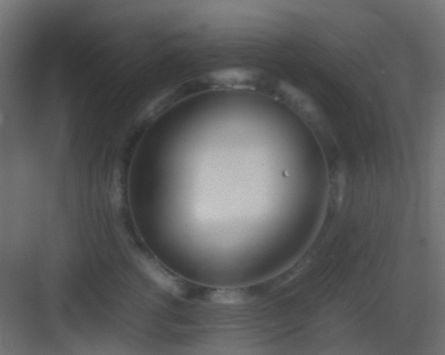 X0000082950762200702081649