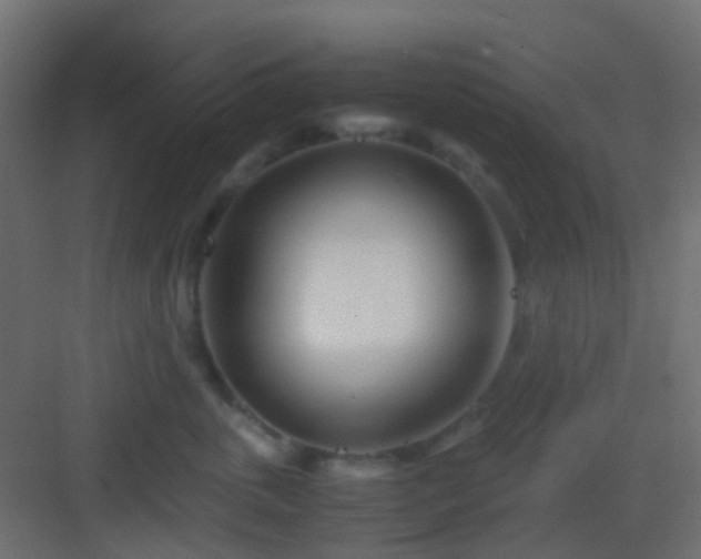 X0000082950763200702081649