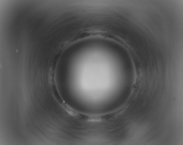 X0000082950767200702081649