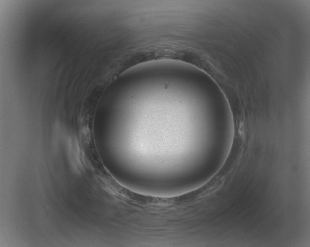 X0000082950771200702081648