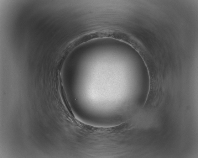 X0000082950773200702081648