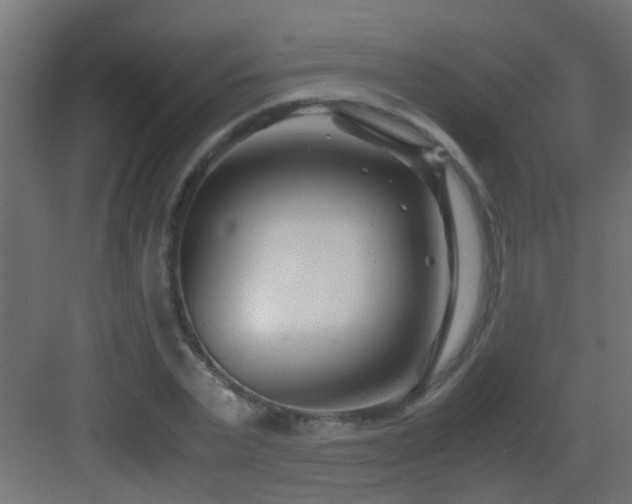 X0000082950783200702081648