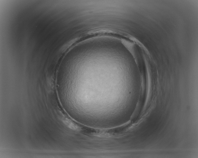 X0000082950785200702081648