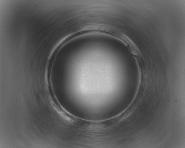 X0000082950788200702081648