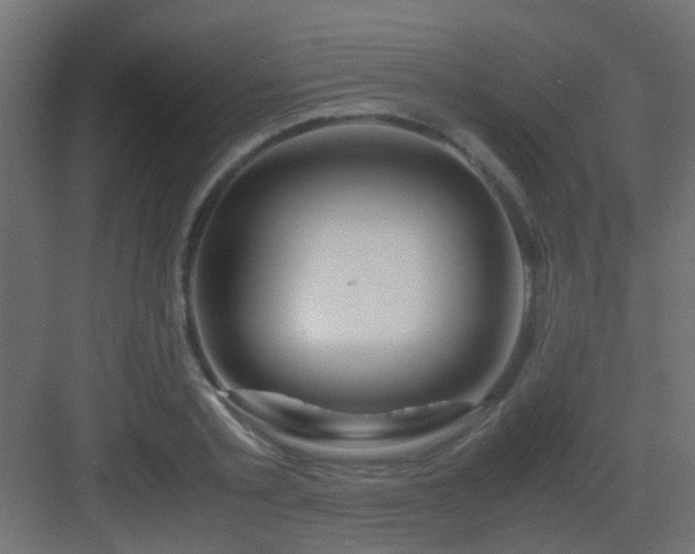 X0000082950789200702081648