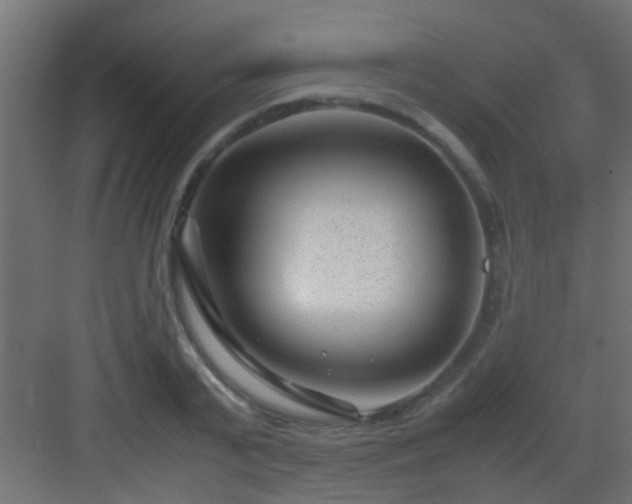X0000082950791200702081648