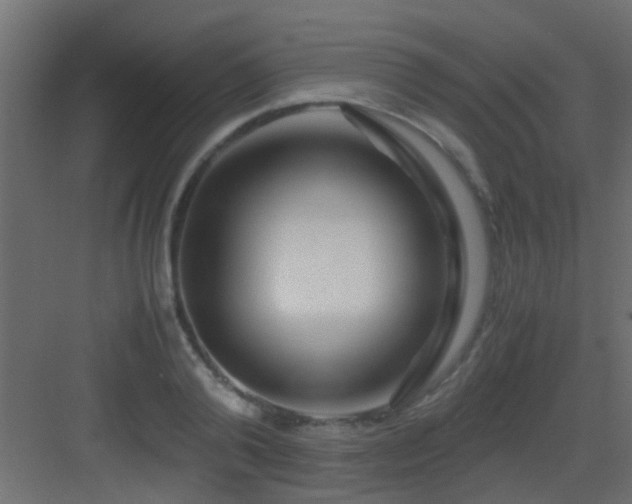X0000082950792200702081648