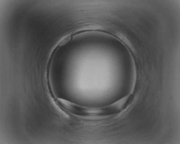 X0000082950797200702081648