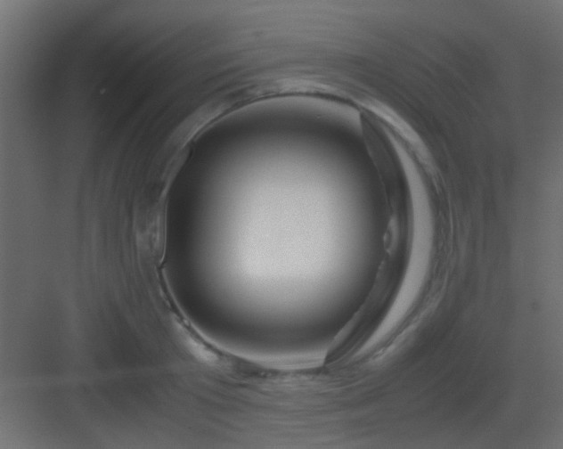 X0000082950801200702081648