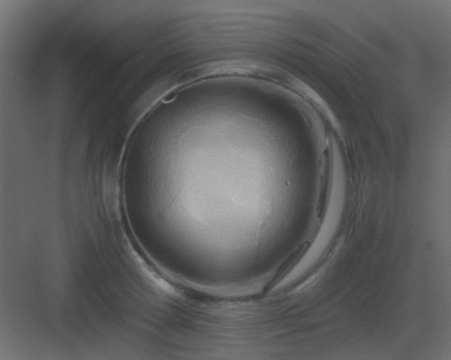 X0000082950802200702081648