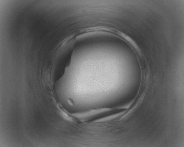 X0000082950809200702081648