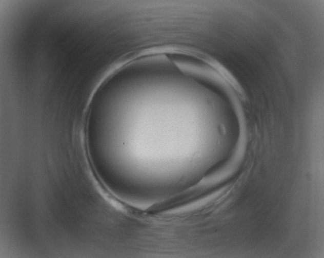 X0000082950813200702081648