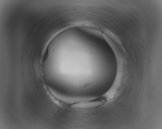 X0000082950816200702081648