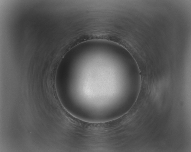 X0000082950817200702081647