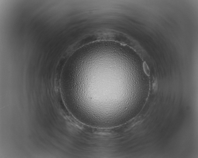 X0000082950819200702081647
