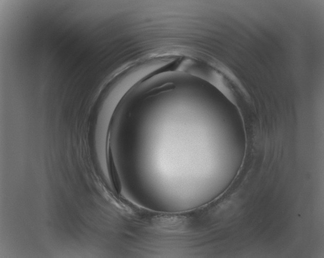 X0000082950826200702081647