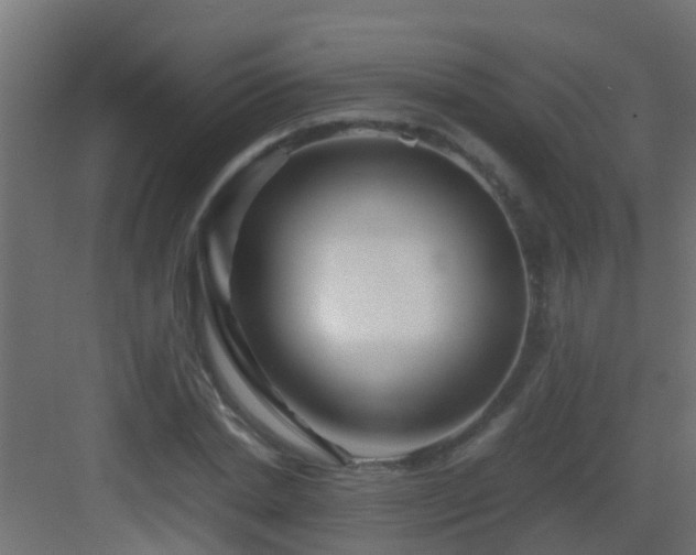 X0000082950830200702081647