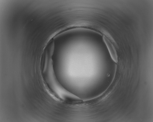 X0000082950842200702081647