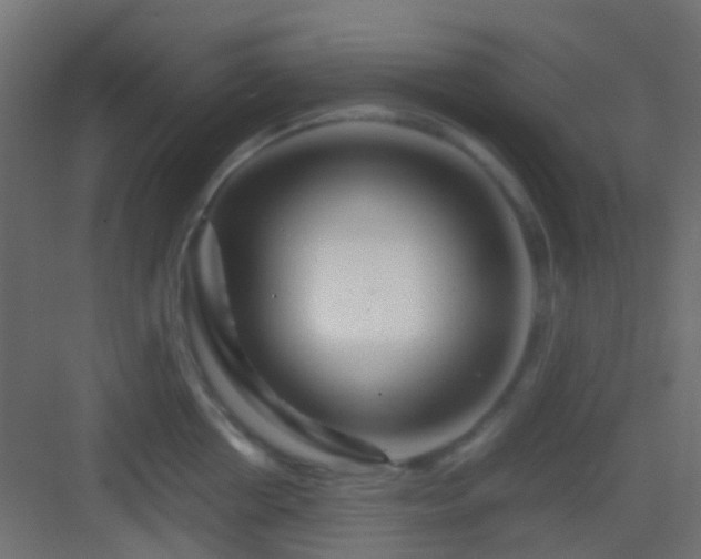 X0000082950858200702081648