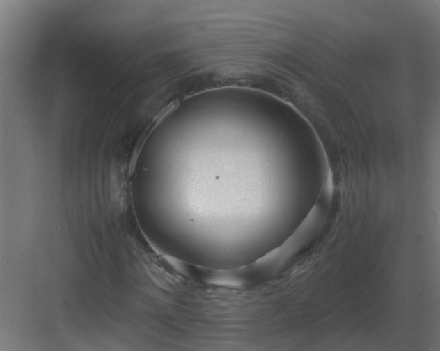 X0000082950868200702081647