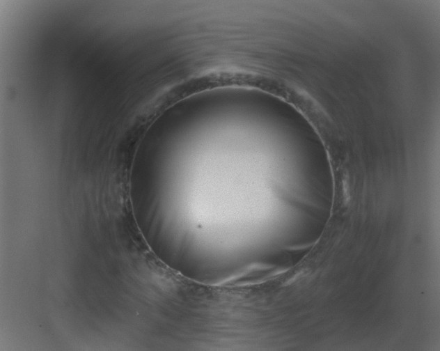 X0000082950870200702081647