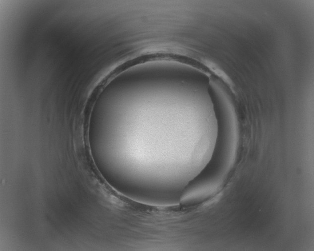 X0000082950877200702081647
