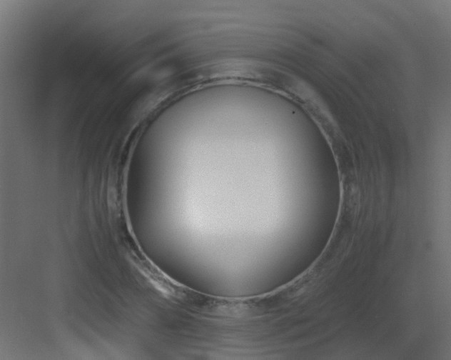 X0000082950882200702081647