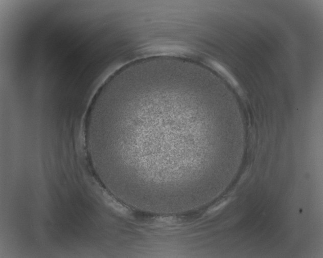 X0000082950883200702081647