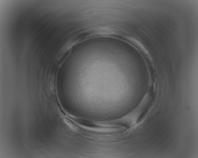 X0000082950889200702081647
